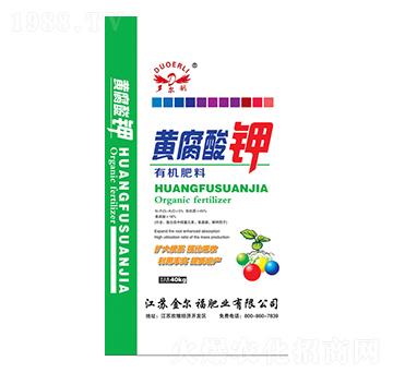 �S������ЙC����-�𠖸��ʘI(y��)