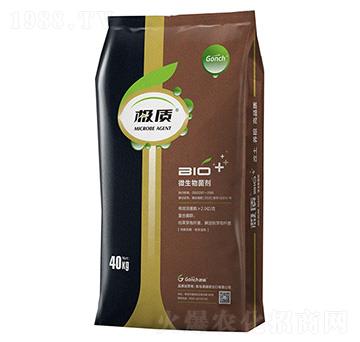 �O�|(zh��)΢����������p�����������{������-�ۃ�(ch��)