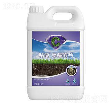 �@���������}-��ţ�r�I(y��)