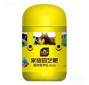 �^�~��ֲ��I(y��ng)�B(y��ng)��-ʷ����