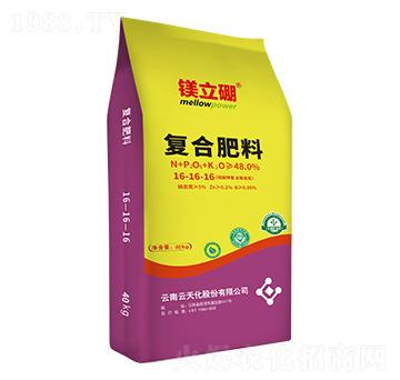 ������͏ͺϷ���16-16-16-�V����-���컯�r�Y