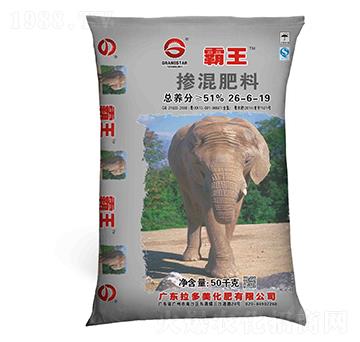 �������26-6-19-����-������