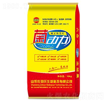 ������΢�������-������