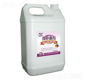 ��sҺ�w�����}-΢�a(b��)�w��-΢�a(b��)ֲ��