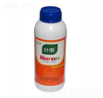 �ЙC���-�~��-ïʩ����