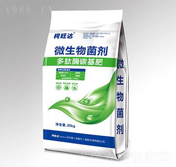 ����ø̼����-�����_-�֠����r�I(y��)