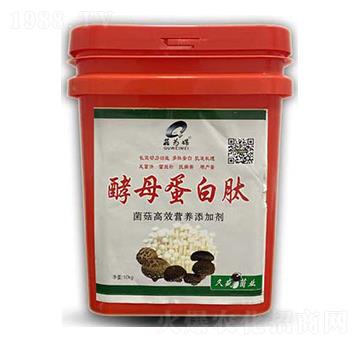 ��ĸ������-����ý-���_(d��)����