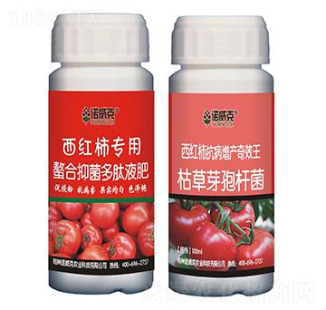 ���t�����������־�����