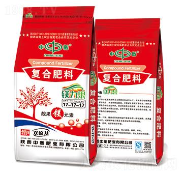 �V������(f��)�Ϸ���17-17-17���p�����-�к�