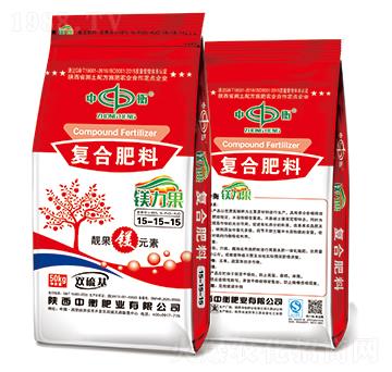 �V������(f��)�Ϸ���15-15-15���p�����-�к�