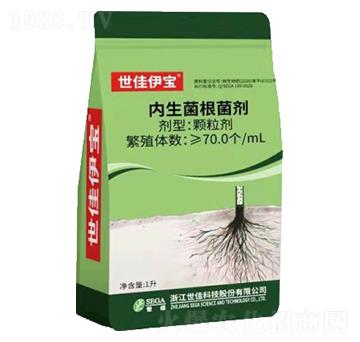 ��(n��i)����������-��������-���ѿƼ�