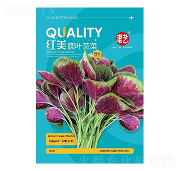 �{�˷N��-�t���A�~�{��-���S�r(n��ng)�I(y��)