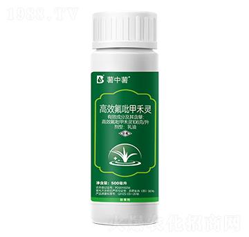 108克/升高效氟吡甲禾靈-薯中薯-碧勝