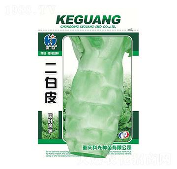 ����Ƥ-�ƹ�N��