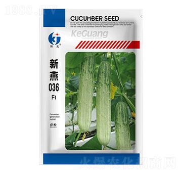 ����036-�ƹ�N��