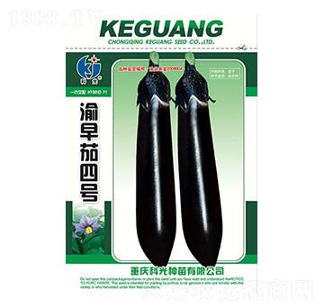 ��������̖-�ƹ�N��