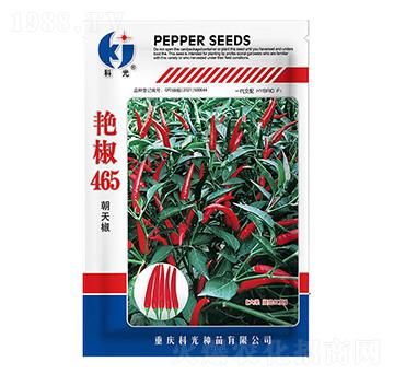 �G��465-�ƹ�N��