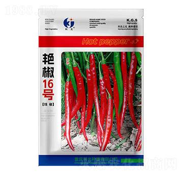 �G��16̖-�ƹ�N��