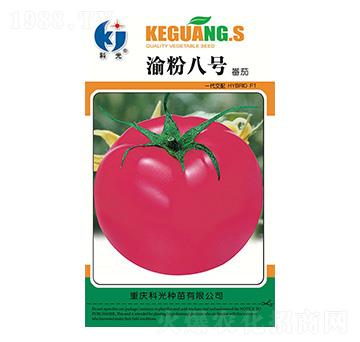 ���8̖-�ƹ�N��