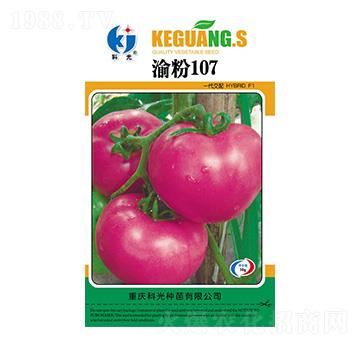 ���107-�ƹ�N��