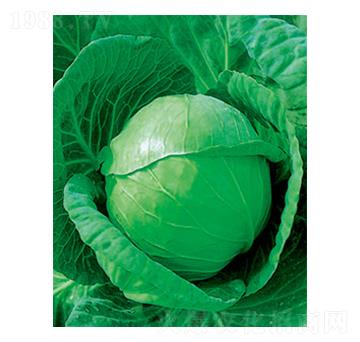 �и�ʮһ���{�N��-̫���N�I(y��)