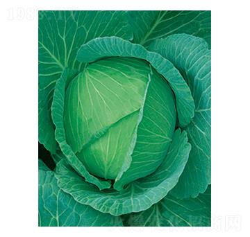 ���Sһ̖���{-̫���N�I(y��)