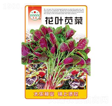 �{�˷N��-���~�{��-̫���N�I(y��)