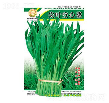 ���Ĳ˷N��-���~���Ĳ�-̫���N�I(y��)