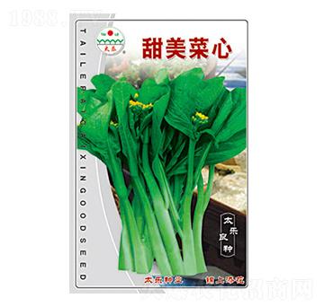 ��������-̫���N�I(y��)