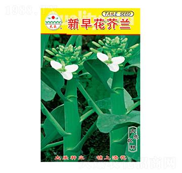 ���m�N��-���绨���m-̫���N�I(y��)