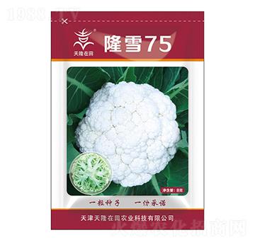 ¡ѩ75-��¡����-��¡�r�I(y��)