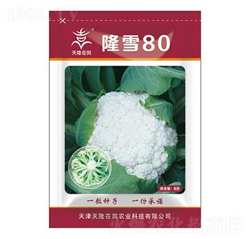 ¡ѩ80-��¡����-��¡�r�I(y��)