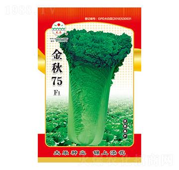 �ײ˷N��-����75-̫���N�I(y��)