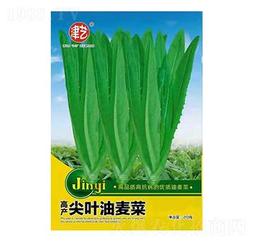 �����˷N��-���~������-���S�r(n��ng)�I(y��)