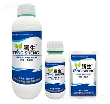 ����֬���S����E-�v��-�õ���