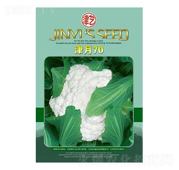 ���˷N��-����70-���S�r(n��ng)�I(y��)