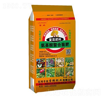 ���������Ͼ���-���i�ʘI(y��)