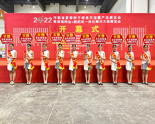 �����]�����Ĵ������������L(f��ng)�ɱM�@��