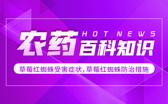 ��ݮ�t֩���ܺ��Y������ݮ�t֩����δ�ʩ