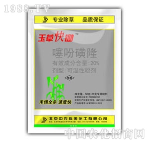 ���r����-��ݿ��z