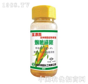 ���r����-������