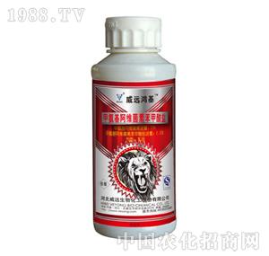 ���h����-���h����