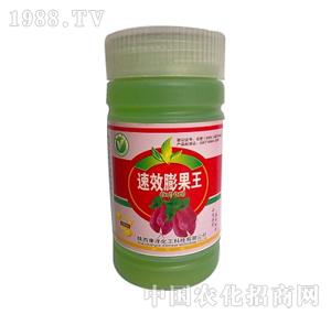 ����-��������t�팣(zhu��n)�ã�