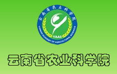 ����ʡ�r�I(y��)�ƌWԺ