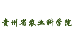 �F��ʡ�r�I(y��)�ƌWԺ