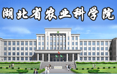 ����ʡ�r�I(y��)�ƌWԺ