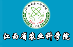 ����ʡ�r�I(y��)�ƌWԺ