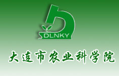 ���B���r�I(y��)�ƌWԺ