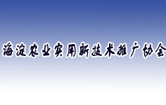 �����к����r�I(y��)�����¼��g�ƏV�f(xi��)��