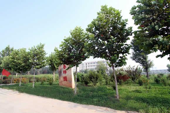 衡水科技工程學(xué)校怎么樣？是國(guó)辦院校嗎？就業(yè)有保障嗎？
